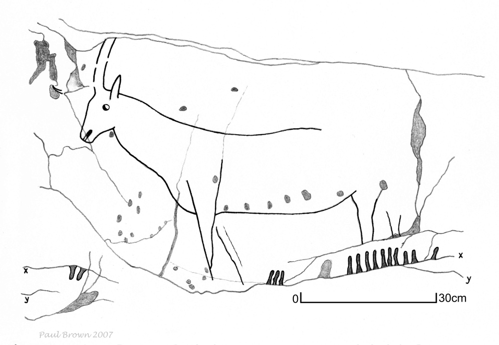 A drawing of a cave wall, showing the outline of a stag with antlers. The figure is surrounded by smaller spots and marks.