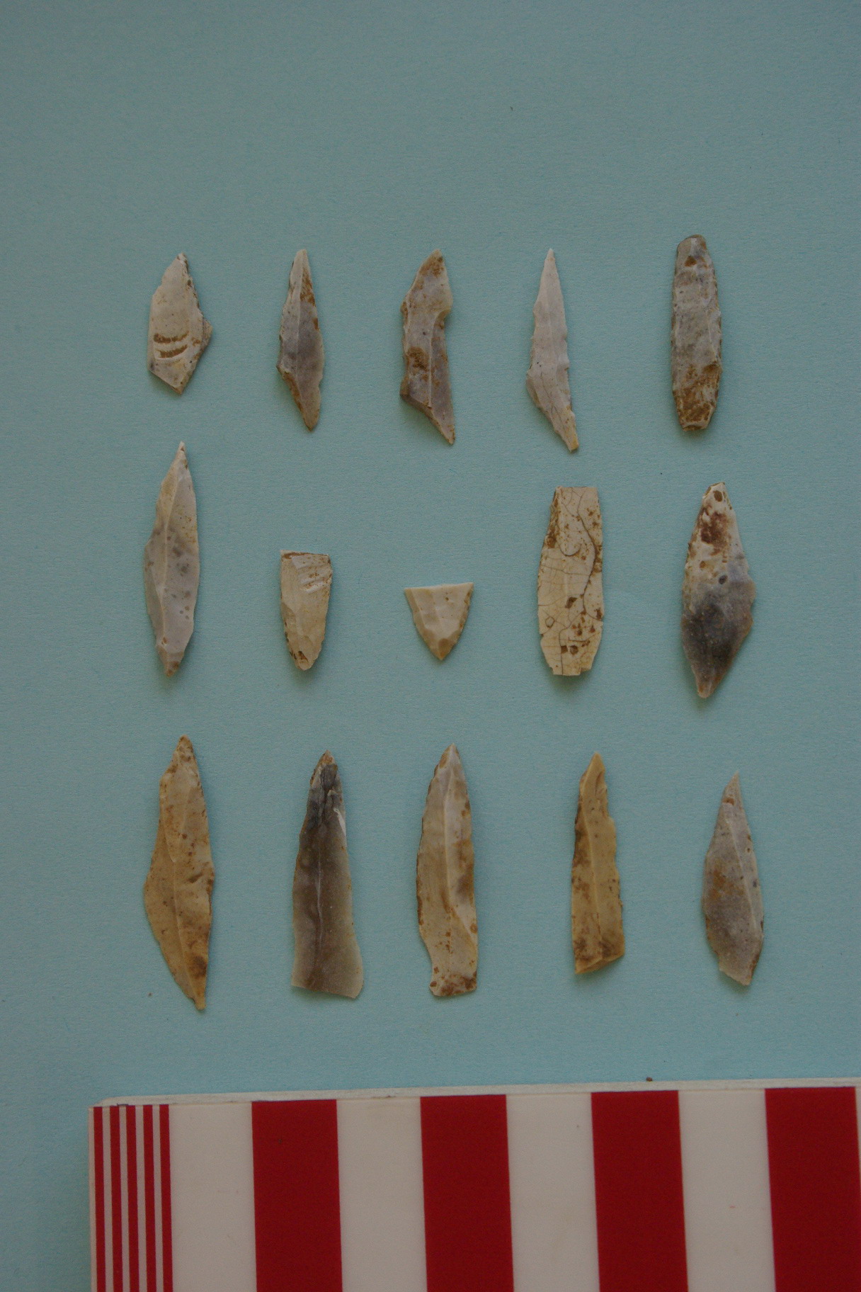 A photo of fifteen flints, most of which are long and thin and have been worked to sharp points.