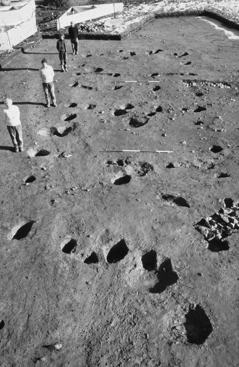 Neolithic Field Neolithic and Early to Middle Bronze Age - East Midlands Historic ...