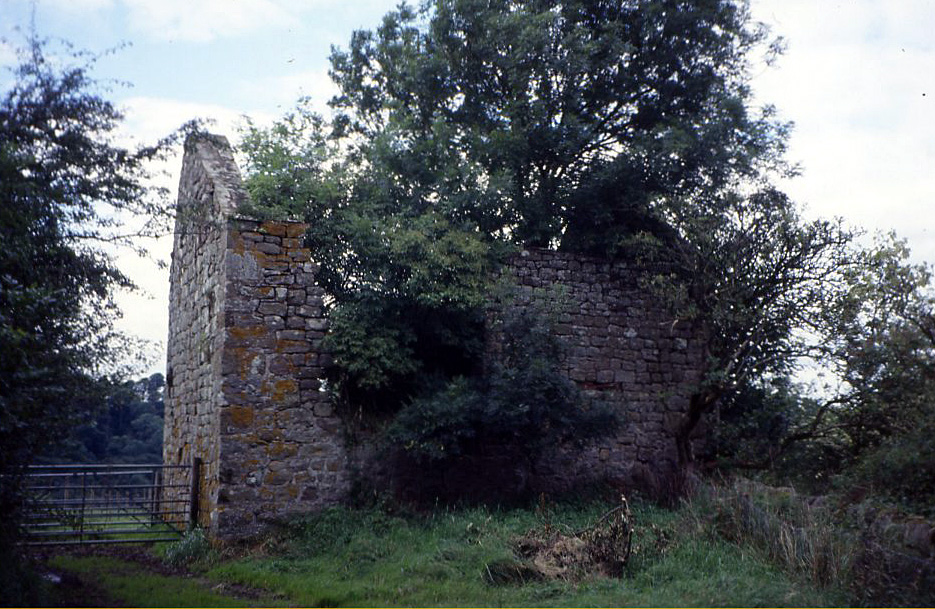 Photograph of the exterior ruins of Bastle House