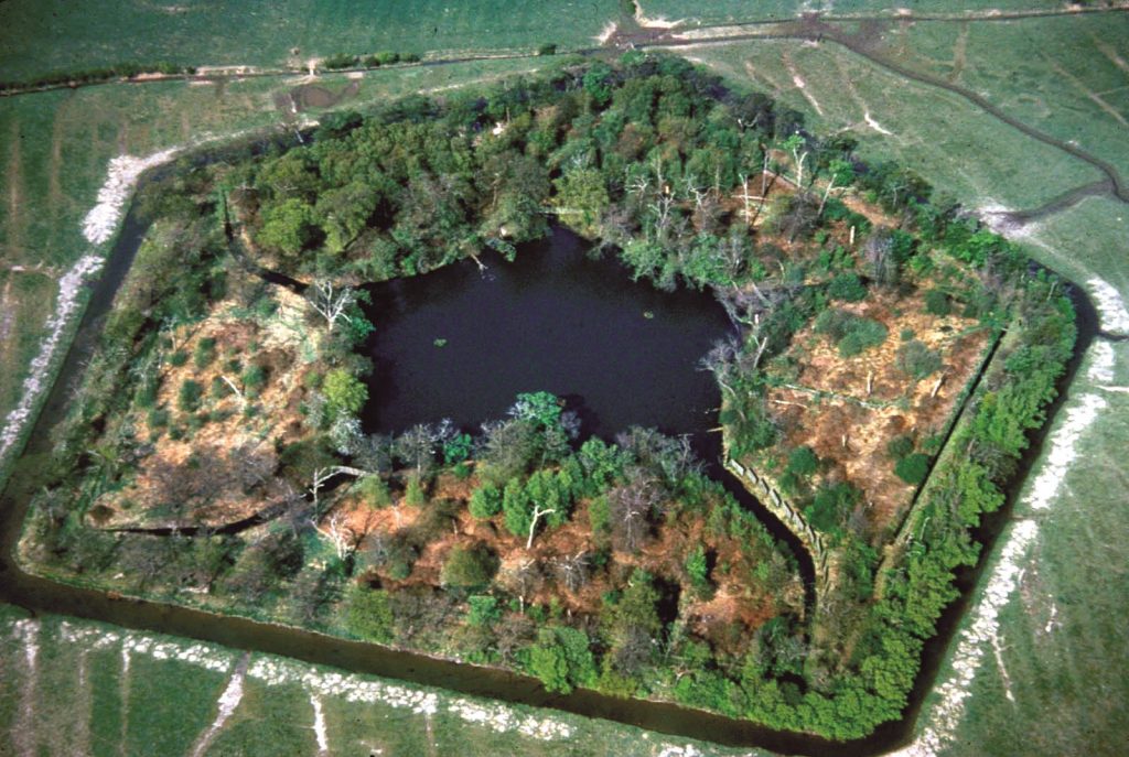 Aerial view of a duck decoy