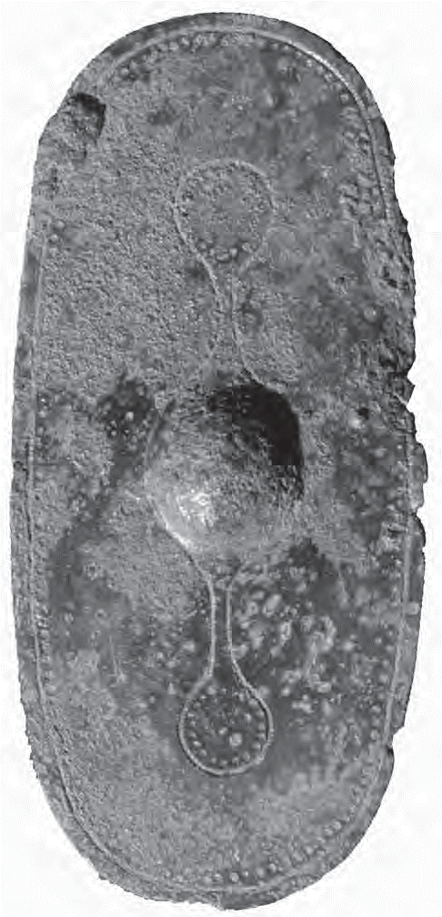 Black and white photograph of a miniature shield with patterns